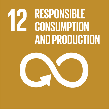 SDG 12: Responsible Consumption and Production